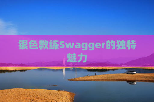 银色教练Swagger的独特魅力 银色教练Swagger的独特魅力
